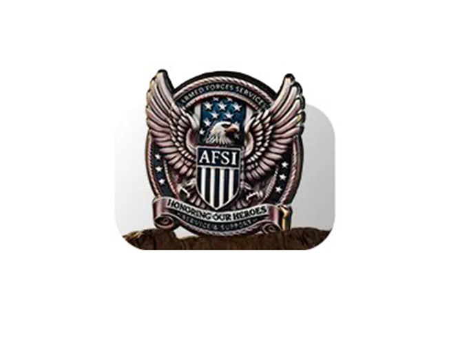 Lapel Pin  custom