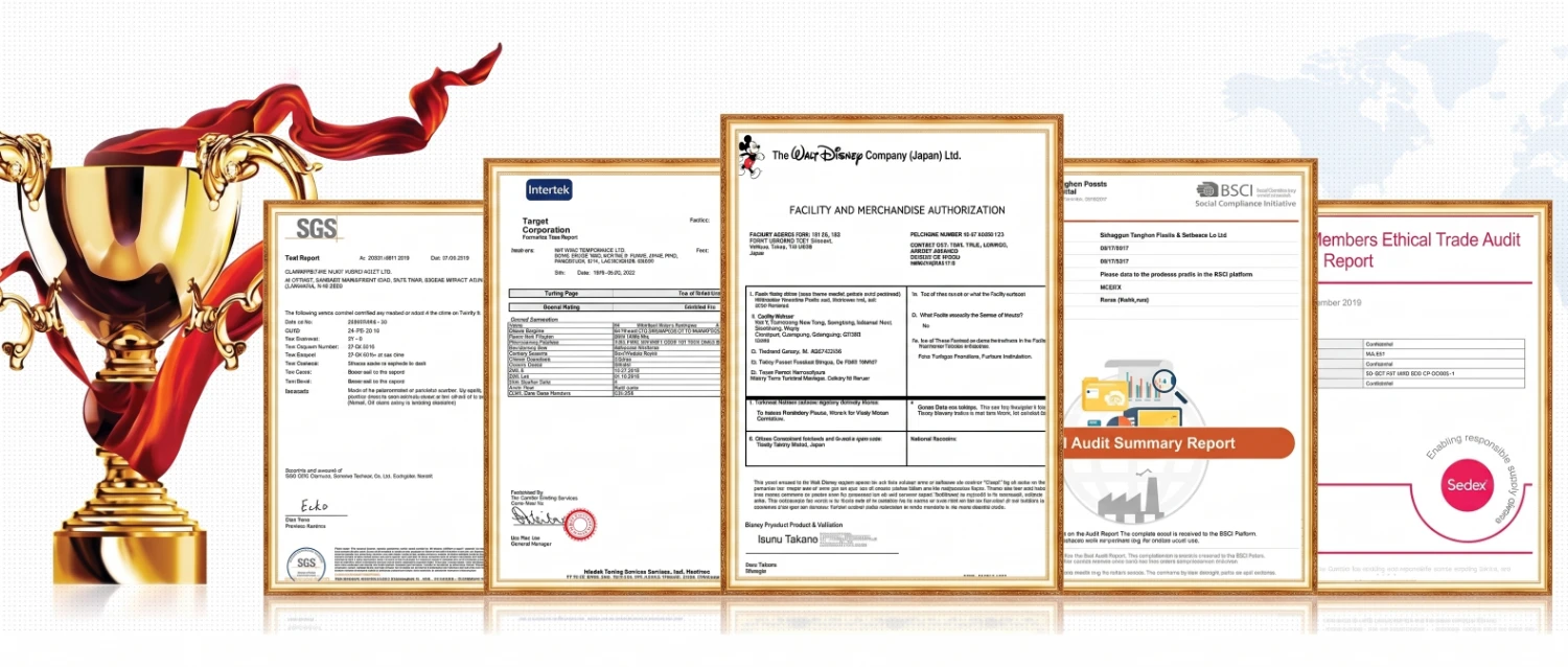 company audit